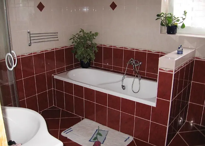 Apartament Viola Vendeghaz *